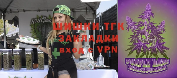 дурь Медногорск