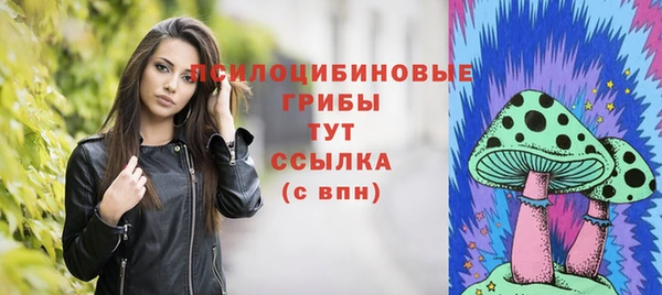 дурь Медногорск